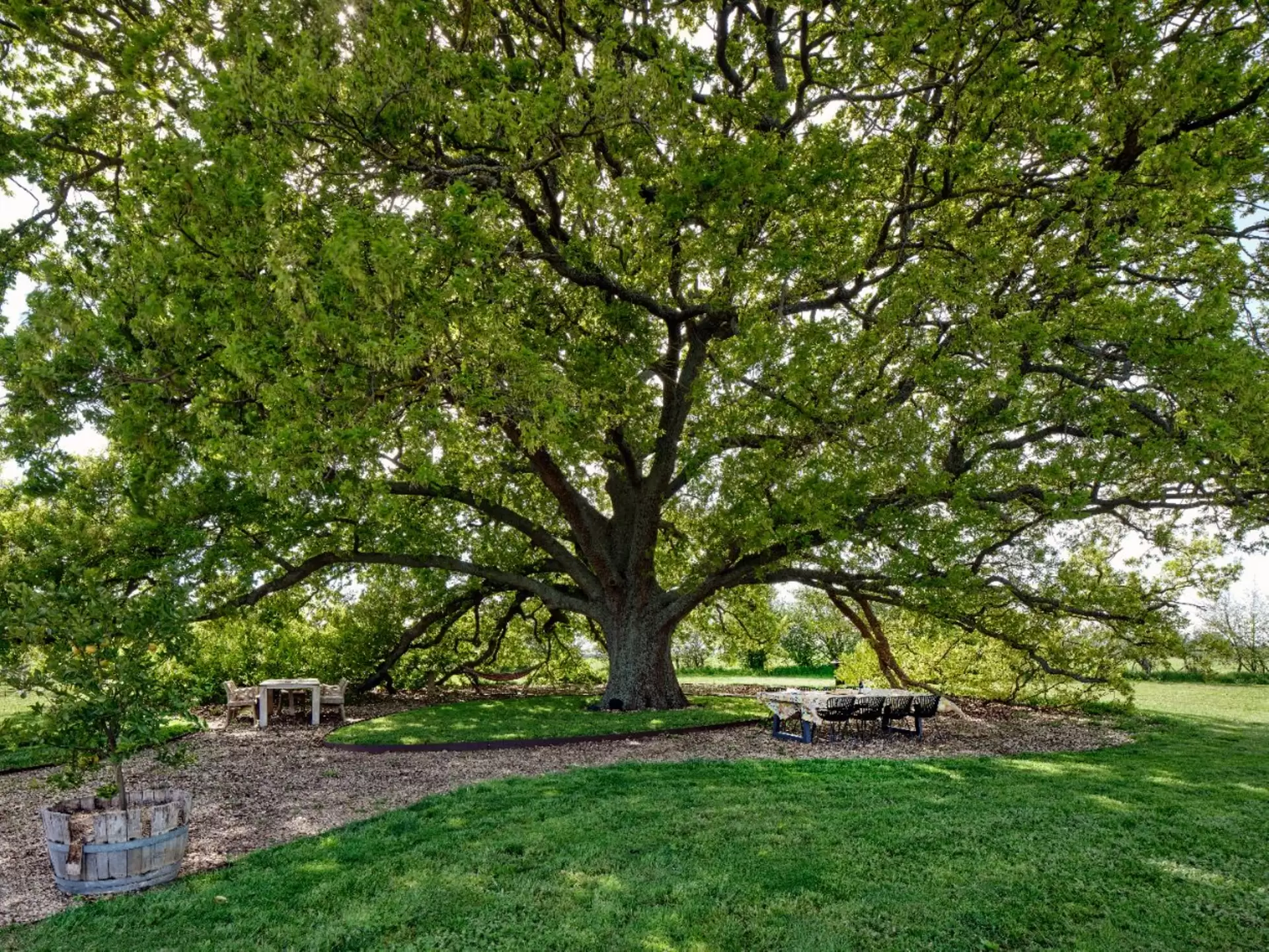 31 Rollinsons Road, Malmsbury For Sale by Melbourne Sotheby's International Realty - image 1